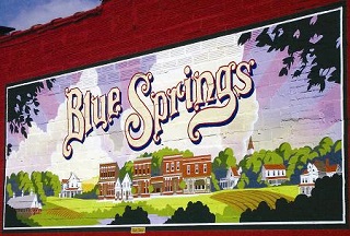VMware Data Recovery in Blue Springs, Missouri